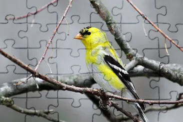 Toy jigsaw puzzle
