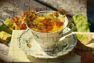 Toy jigsaw puzzle