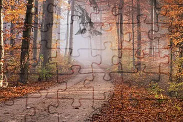Toy jigsaw puzzle