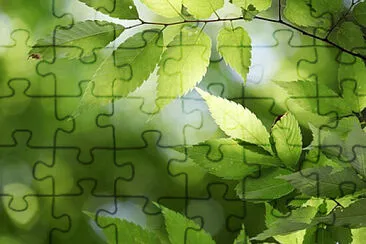 Toy jigsaw puzzle