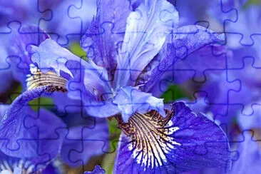 OK jigsaw puzzle