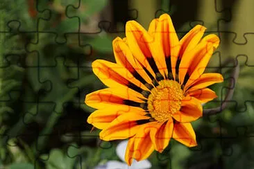 OK jigsaw puzzle