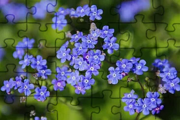  jigsaw puzzle