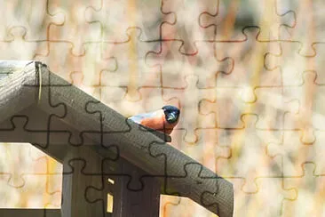  jigsaw puzzle