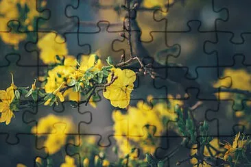  jigsaw puzzle