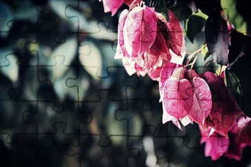 Toy jigsaw puzzle