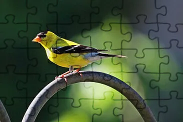  jigsaw puzzle