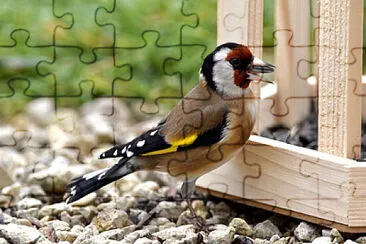  jigsaw puzzle
