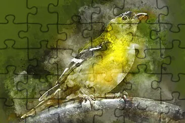  jigsaw puzzle