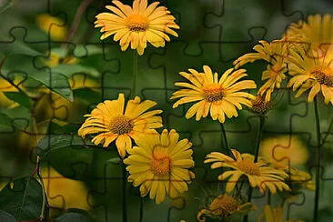 Toy jigsaw puzzle
