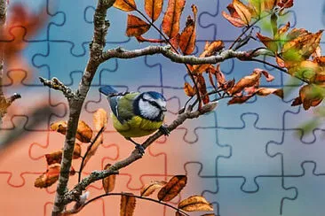 Toy jigsaw puzzle