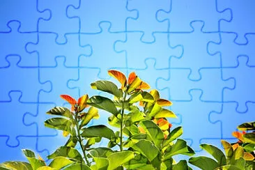 Toy jigsaw puzzle