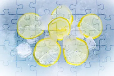 Toy jigsaw puzzle