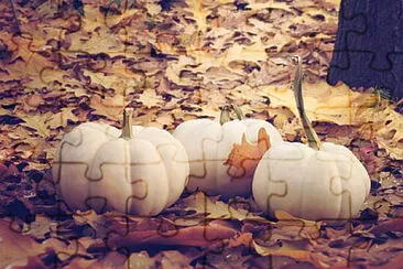 Toy jigsaw puzzle