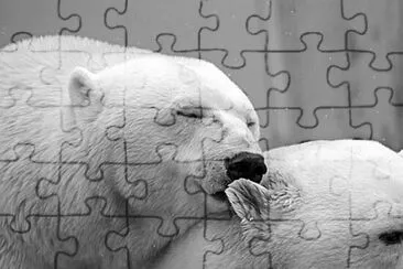  jigsaw puzzle