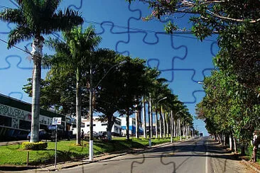 Toy jigsaw puzzle