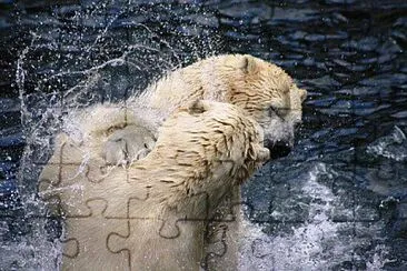  jigsaw puzzle