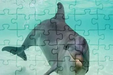 jigsaw puzzle