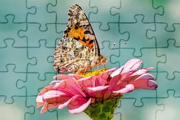 Toy jigsaw puzzle