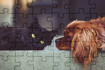 Toy jigsaw puzzle