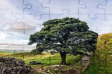 Muro de Adriano jigsaw puzzle