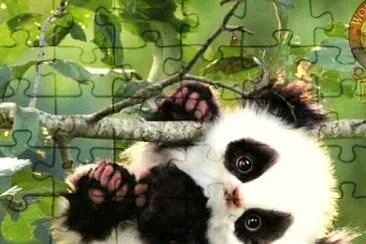 animales jigsaw puzzle