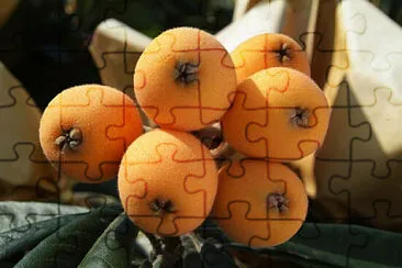 פאזל של Toy