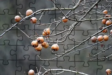 Toy jigsaw puzzle