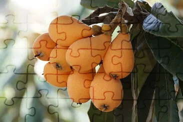 פאזל של Toy