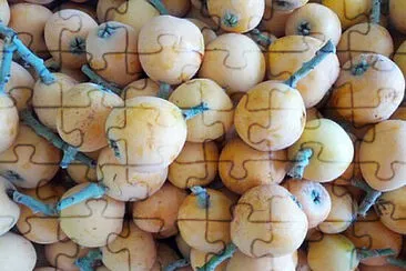 פאזל של Toy