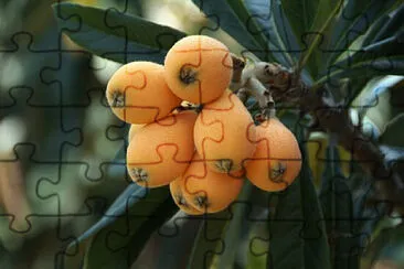 Toy jigsaw puzzle
