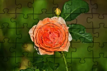 Toy jigsaw puzzle