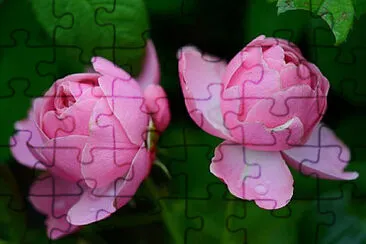Toy jigsaw puzzle