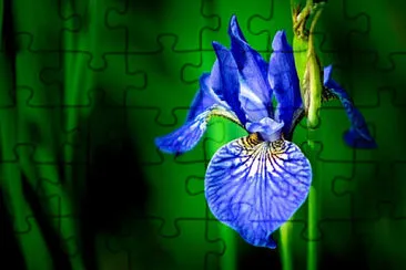 Toy jigsaw puzzle