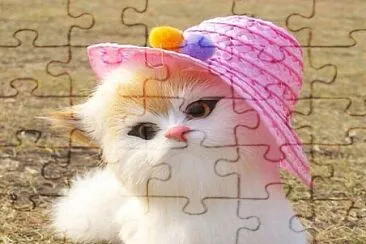 imagem jigsaw puzzle