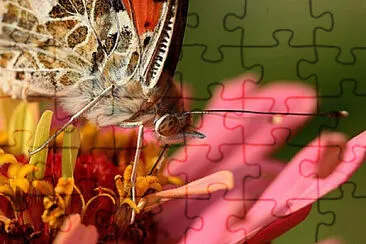 Toy jigsaw puzzle