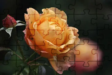 OK jigsaw puzzle