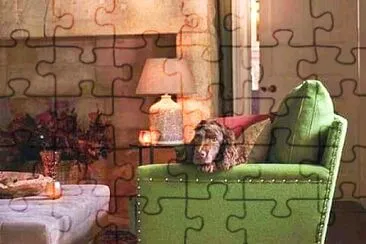 perro jigsaw puzzle