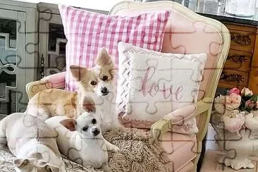 perros jigsaw puzzle