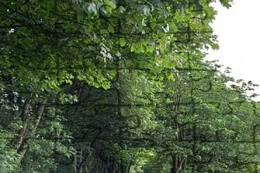 Tunel jigsaw puzzle