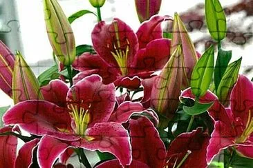 imagem jigsaw puzzle