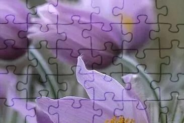  jigsaw puzzle