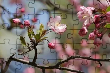 Toy jigsaw puzzle