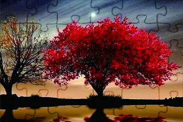美圖 jigsaw puzzle