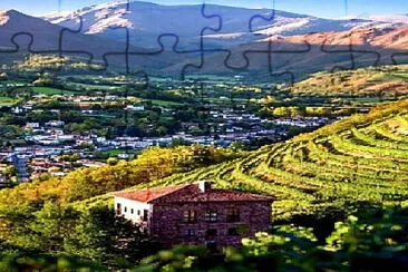 Toy jigsaw puzzle