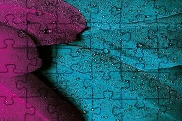 Toy jigsaw puzzle