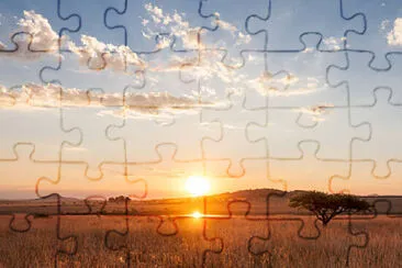 Toy jigsaw puzzle
