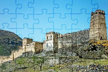 Toy jigsaw puzzle