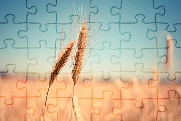 Toy jigsaw puzzle
