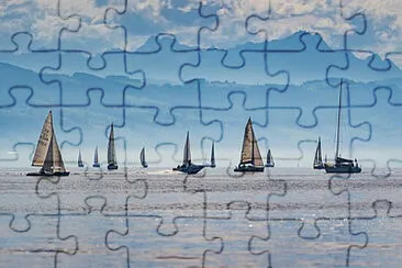 Toy jigsaw puzzle